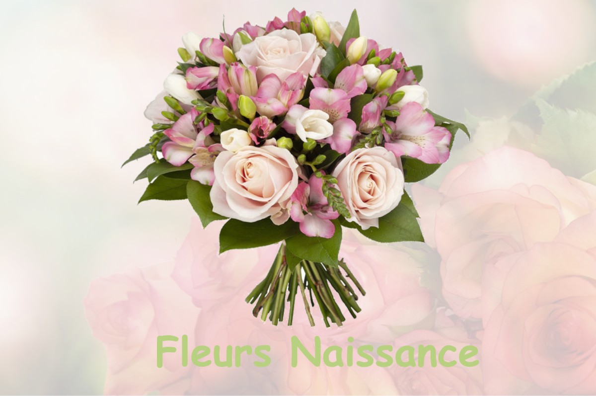 fleurs naissance AUBERIVES-SUR-VAREZE