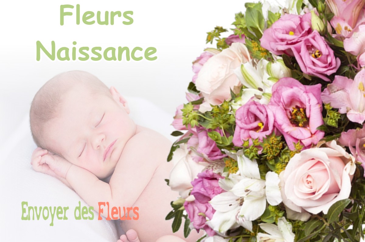 lIVRAISON FLEURS NAISSANCE à AUBERIVES-SUR-VAREZE